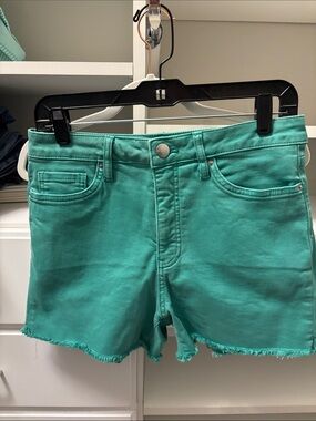 RFM Teal Green Denim Cutoff Shorts